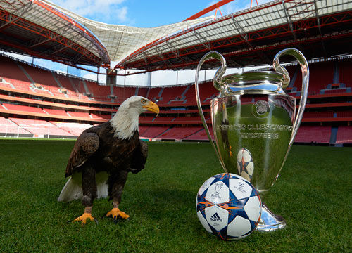 猛龙战胜开拓者终止两连败，成为本赛季第四支取得15个胜场球队（猛龙击败开拓者止住两连败，成为本季第4支达成15胜的球队）