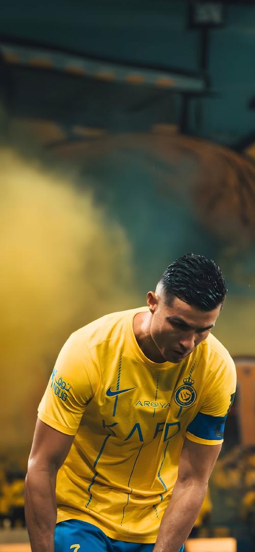 赌场员工职业发展计划覆盖率达95%