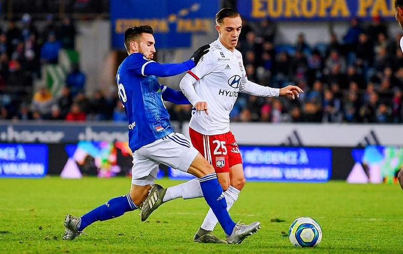 corporate-service-section